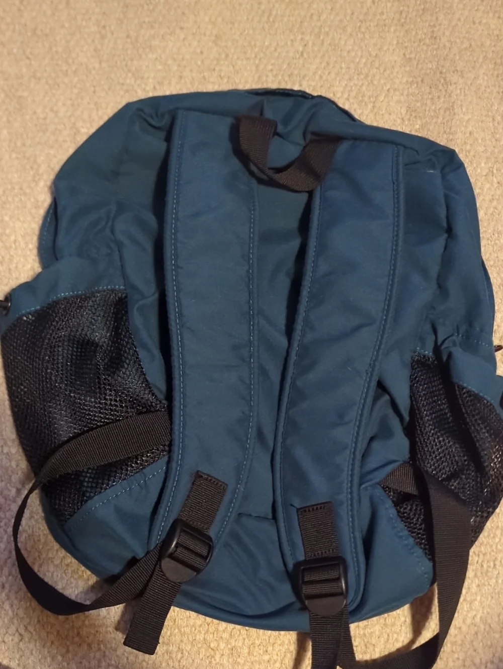 Vintage Rick Steve's Travel Civita Day Pack With Europe 2010 Patch